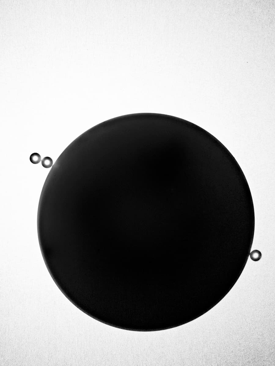 Pinheiro Silvestre Nº7 — 05