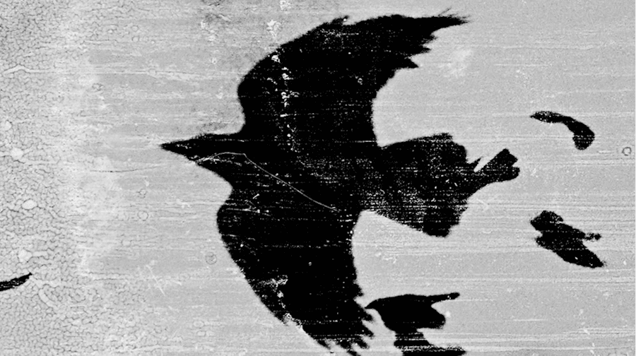 Mesa Kusamono — 06